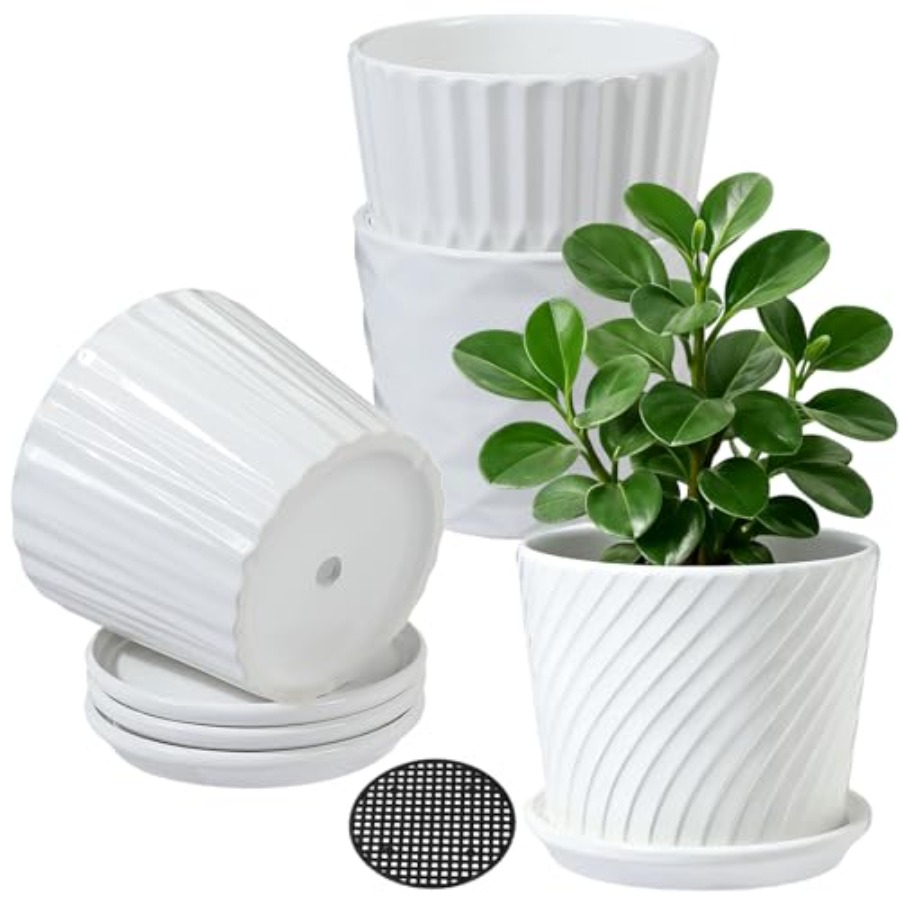 Snake Plant Ceramic - Pot Tanaman - Pot Keramik Silinder