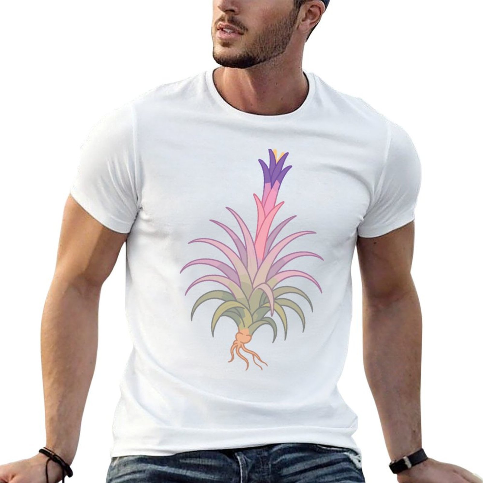 Air Plant Tillandsia - Blooming Tillandsia - Kaus Desain Botani