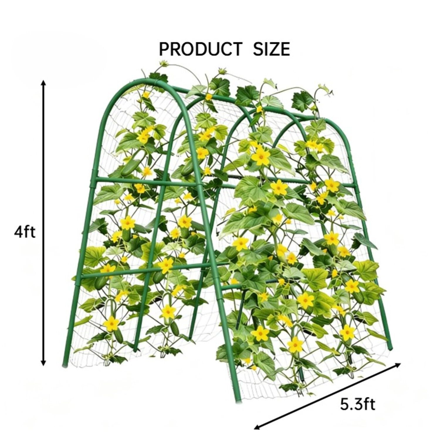 Trellis Lengkung Taman 4x5.3FT - Plants X ulasan dan harga