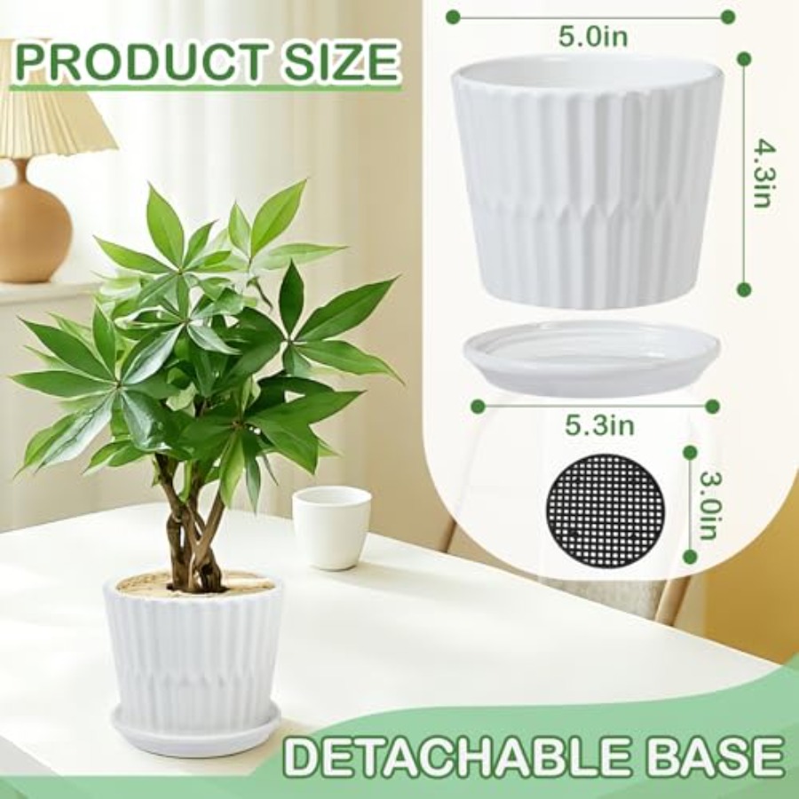 Pot Tanaman - Pot Keramik Sili - Snake Plant Ceramic ulasan dan harga