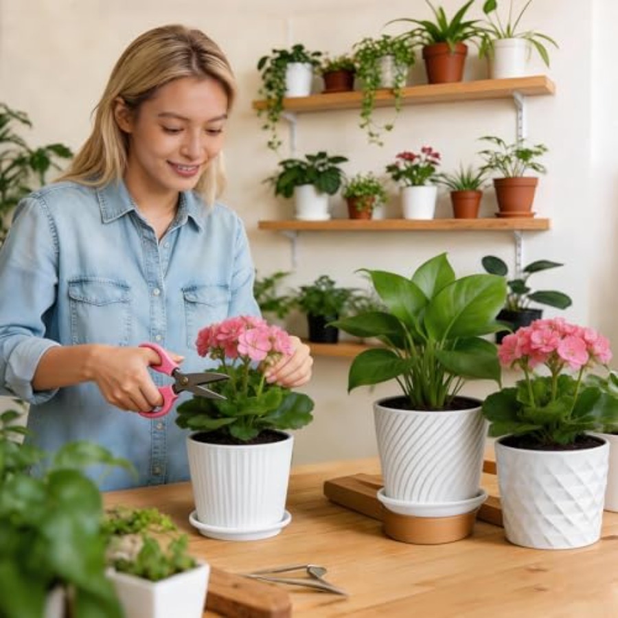 Pot Tanaman - Pot Keramik Sili - Snake Plant Ceramic ulasan dan harga