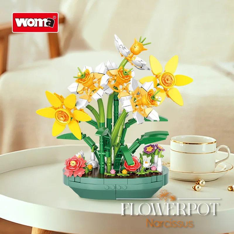 Bunga Daffodil Simulasi dari B - Plant Parent Yearly ulasan dan harga