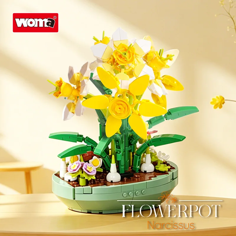 Bunga Daffodil Simulasi dari B - Plant Parent Yearly ulasan dan harga