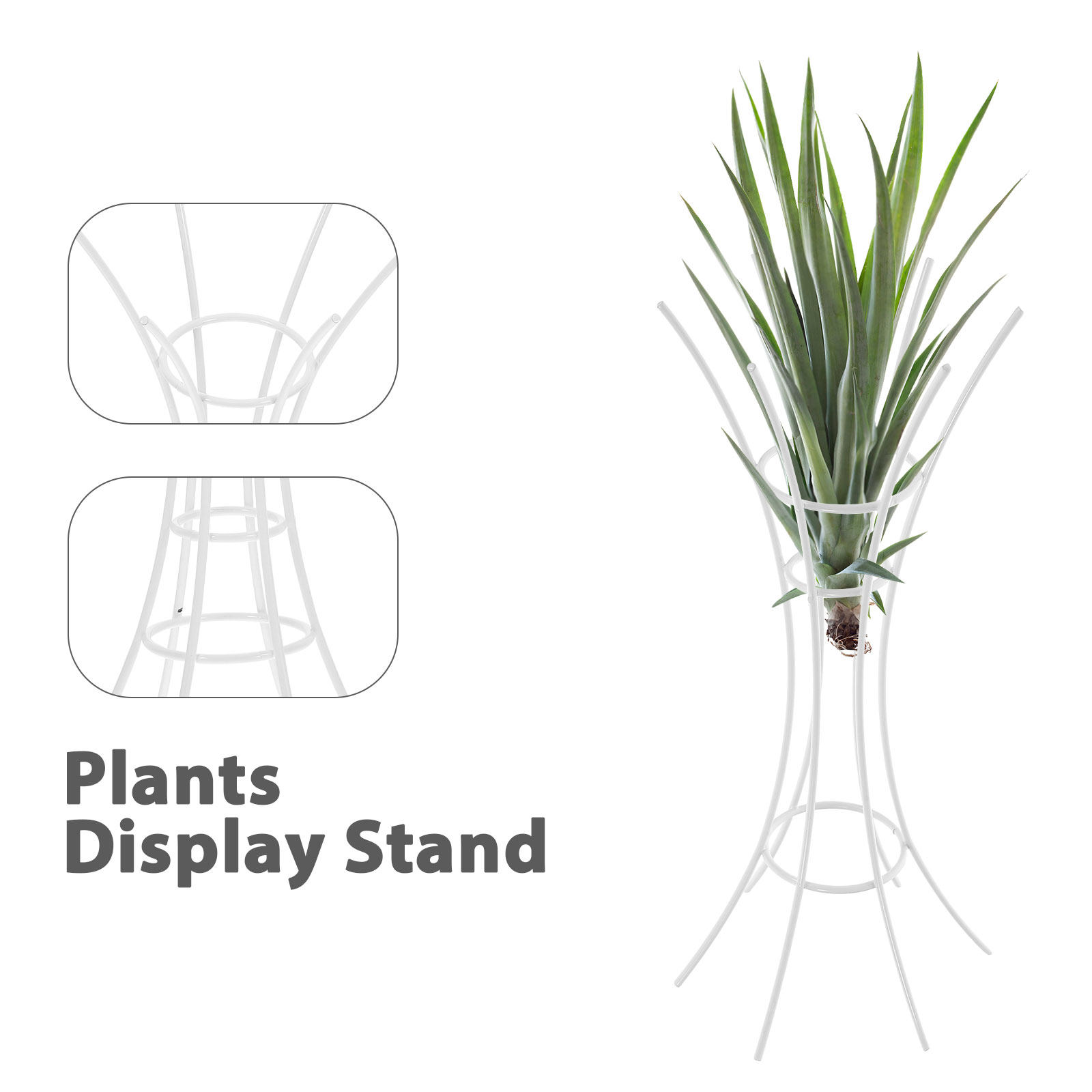 Rak Display Desktop Logam untu - Air Plant Tillandsia ulasan dan harga