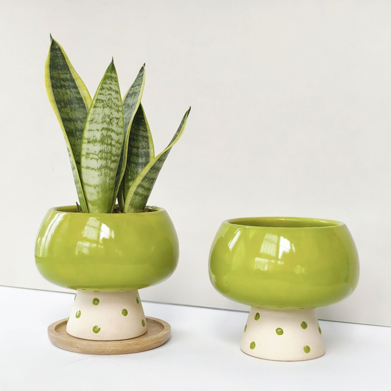 Pot Bunga Keramik Minimalis Be - Snake Plant Ceramic ulasan dan harga
