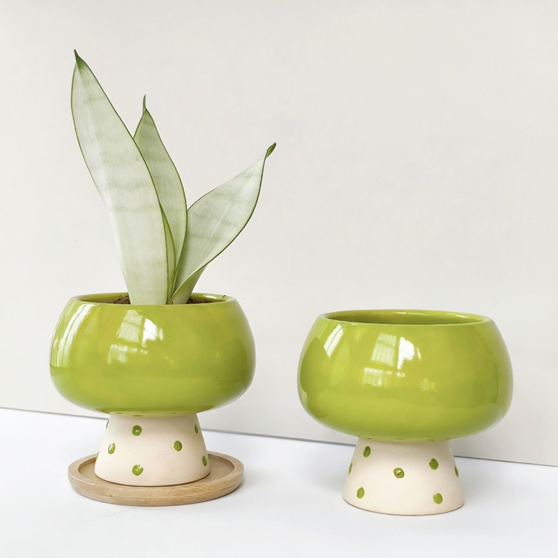 Pot Bunga Keramik Minimalis Be - Snake Plant Ceramic ulasan dan harga