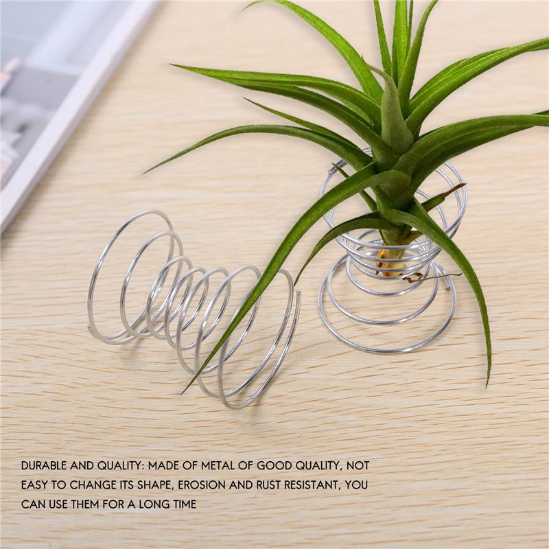 Penjualan Terlaris-6 Buah Rak  - Air Plant Tillandsia ulasan dan harga
