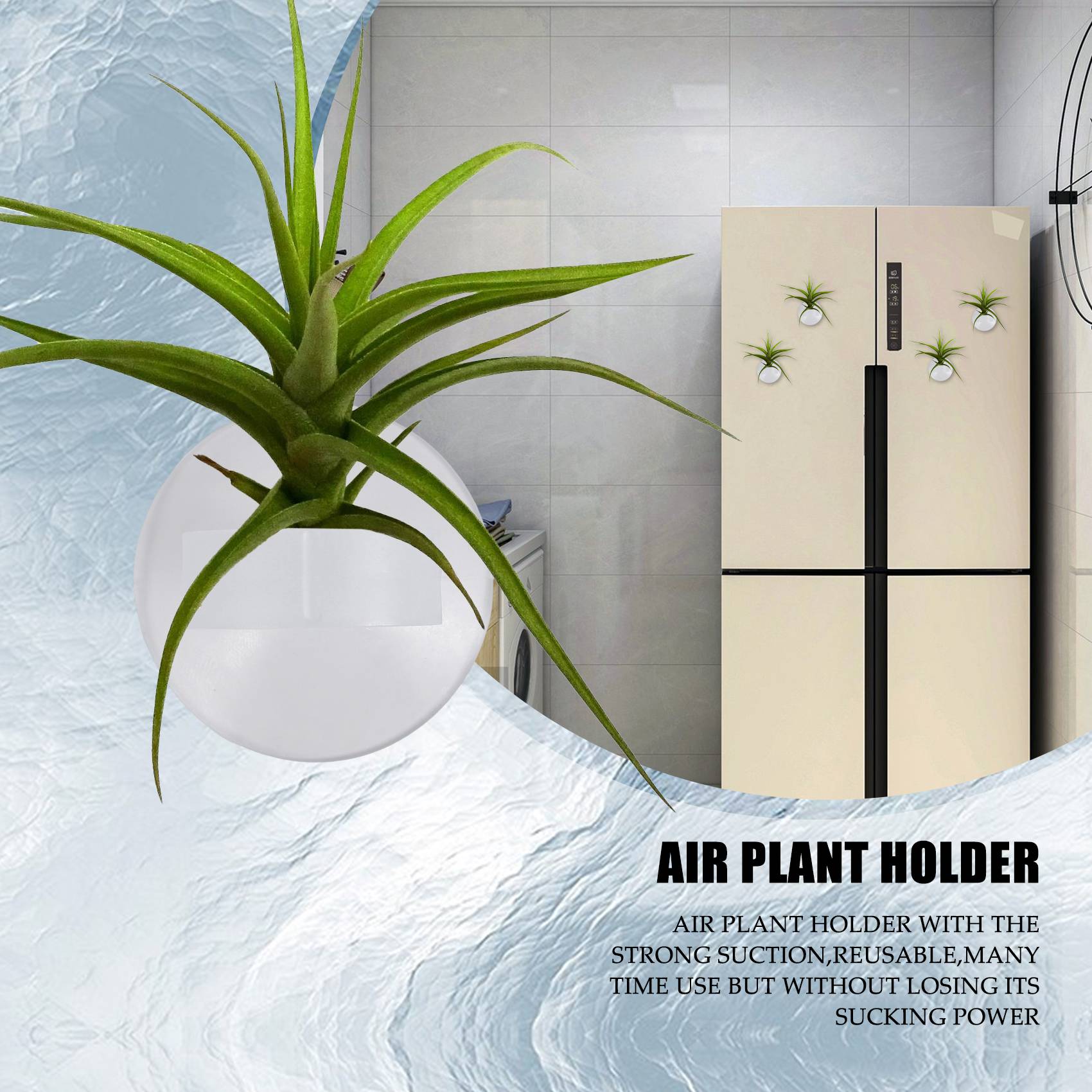 AC76-20 Buah Tempat Tanaman Ud - Air Plant Tillandsia ulasan dan harga