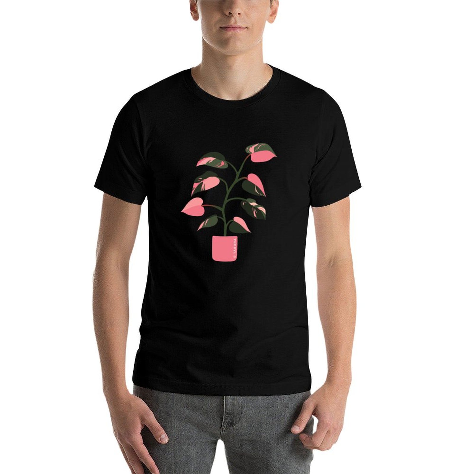 Kaos Philodendron Pink Princes - Philodendron Pink Princess ulasan dan harga