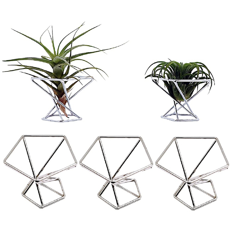 Paket 5 Penyangga Tanaman Udar - Air Plant Tillandsia ulasan dan harga