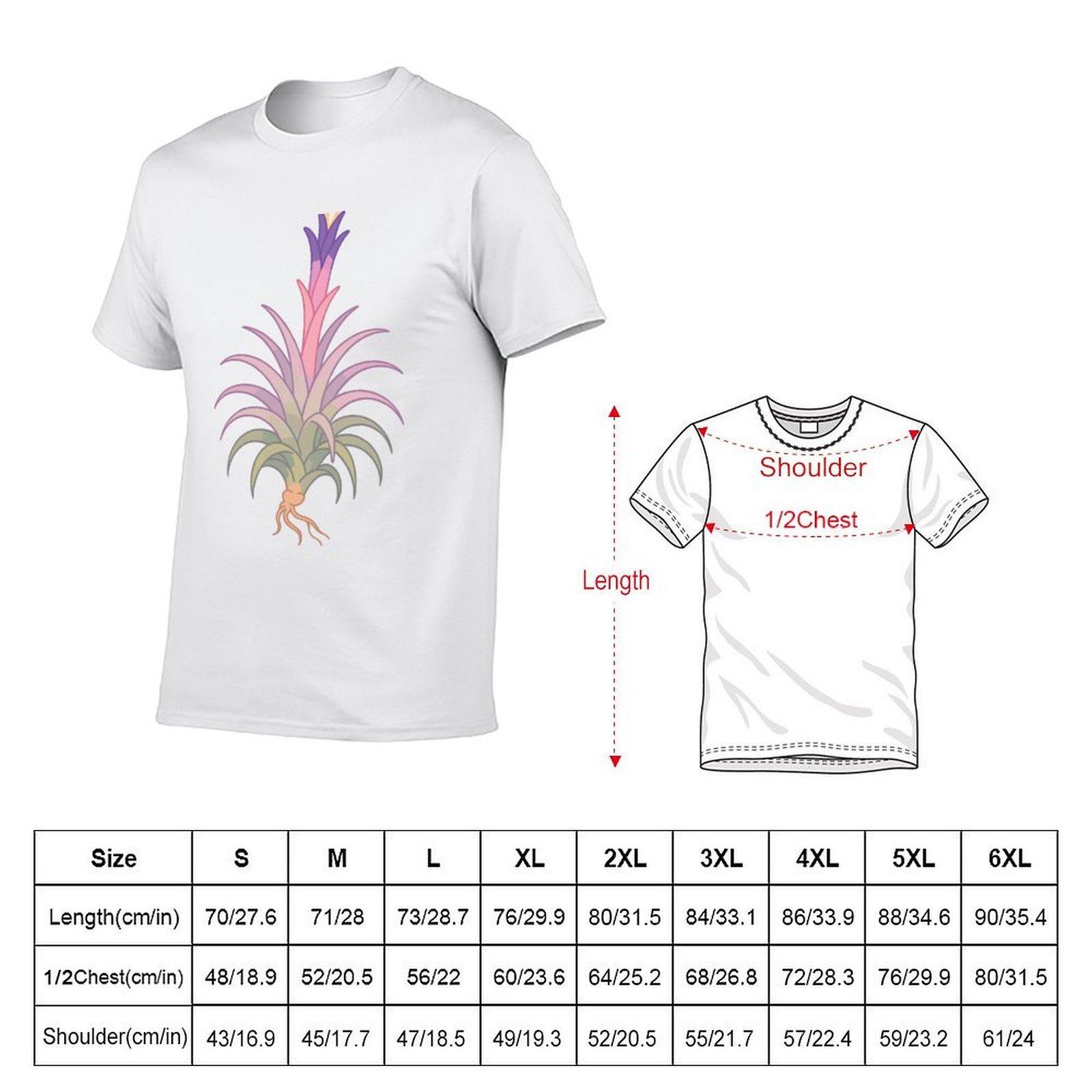 Blooming Tillandsia - Kaus Des - Air Plant Tillandsia ulasan dan harga