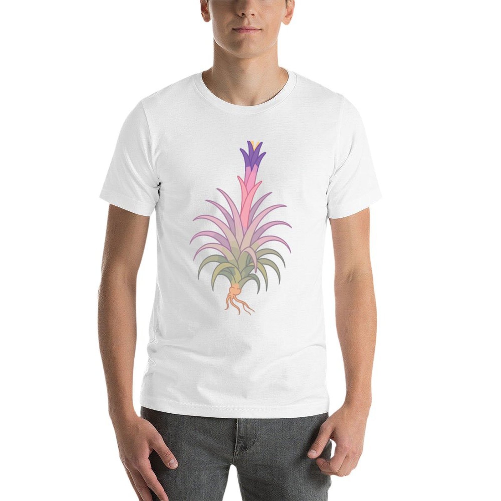 Blooming Tillandsia - Kaus Des - Air Plant Tillandsia ulasan dan harga