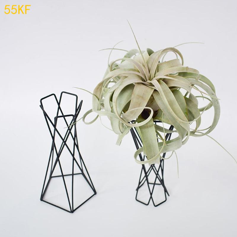 55kf Pemegang Udara Nordik Log - Air Plant Tillandsia ulasan dan harga