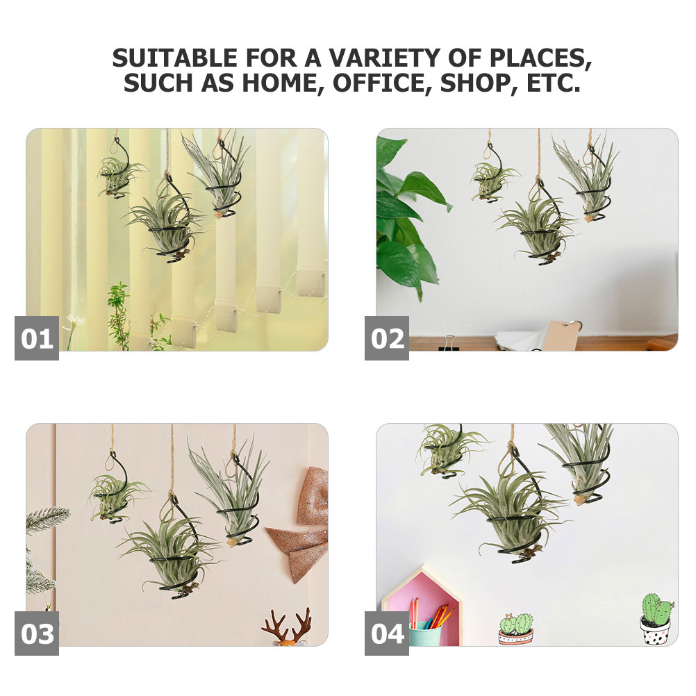 18 Penyangga Tanaman Udara Kec - Air Plant Tillandsia ulasan dan harga