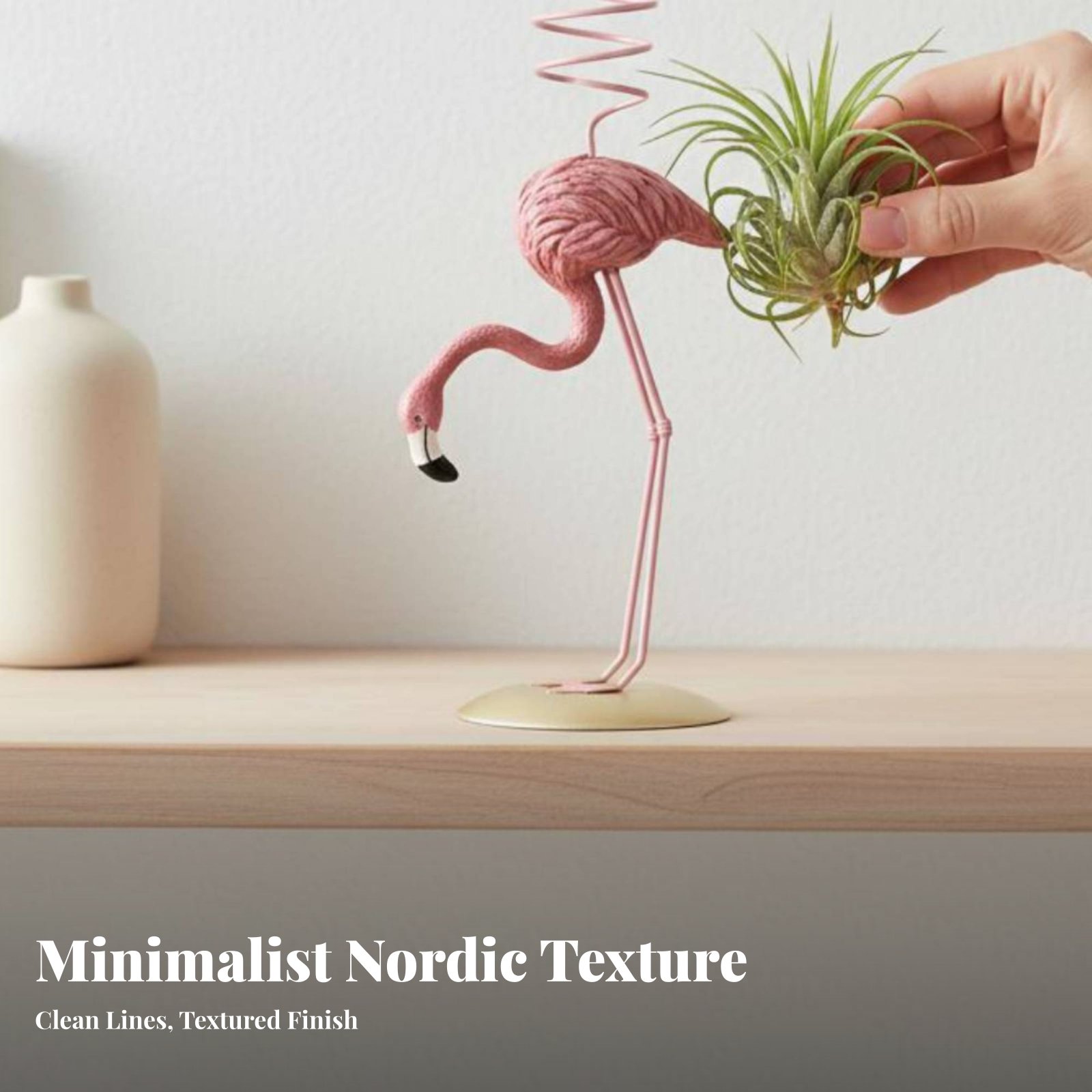 Tempat Tanaman Tillandsia Geom - Air Plant Tillandsia ulasan dan harga
